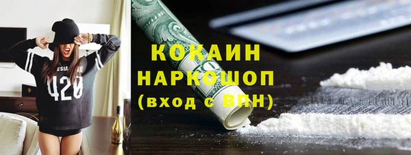 ПСИЛОЦИБИНОВЫЕ ГРИБЫ Богданович