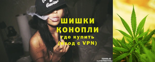 ПСИЛОЦИБИНОВЫЕ ГРИБЫ Богданович