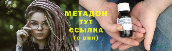 ПСИЛОЦИБИНОВЫЕ ГРИБЫ Богданович