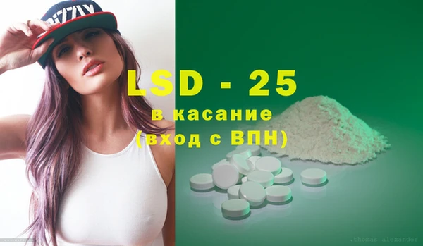 ПСИЛОЦИБИНОВЫЕ ГРИБЫ Богданович