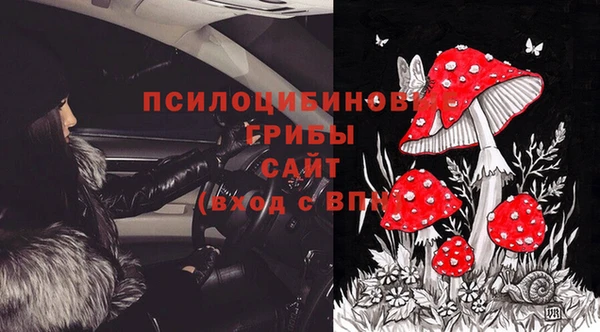 прущие крисы Богородск