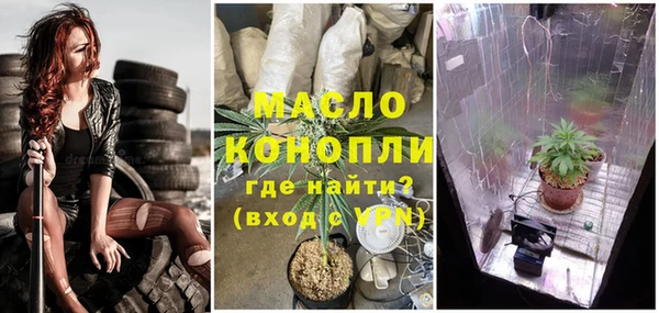 ПСИЛОЦИБИНОВЫЕ ГРИБЫ Богданович