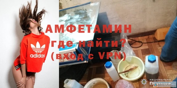 ПСИЛОЦИБИНОВЫЕ ГРИБЫ Богданович