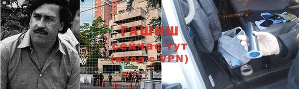 ПСИЛОЦИБИНОВЫЕ ГРИБЫ Богданович