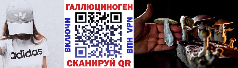 mega как зайти  Верхняя Тура  Галлюциногенные грибы ЛСД  продажа наркотиков 